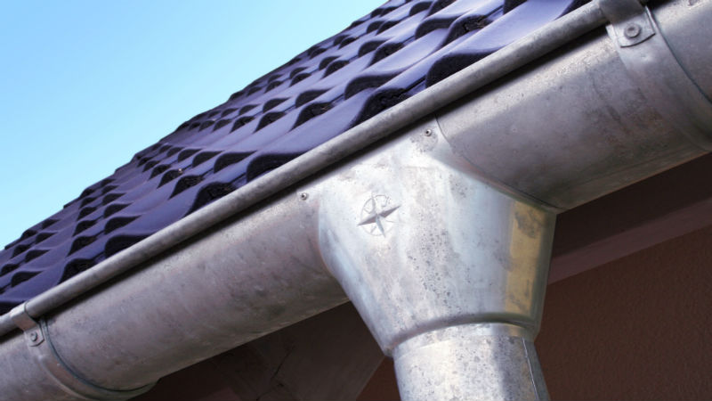 Do You Really Need Gutter Guards?