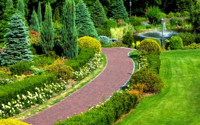 Enrich Your Outdoor Space with Expert Landscape Design in Allen, TX.