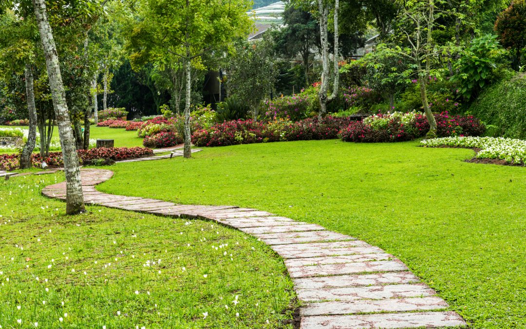 Enhance Your Business with Professional Commercial Landscaping in Cook County, IL